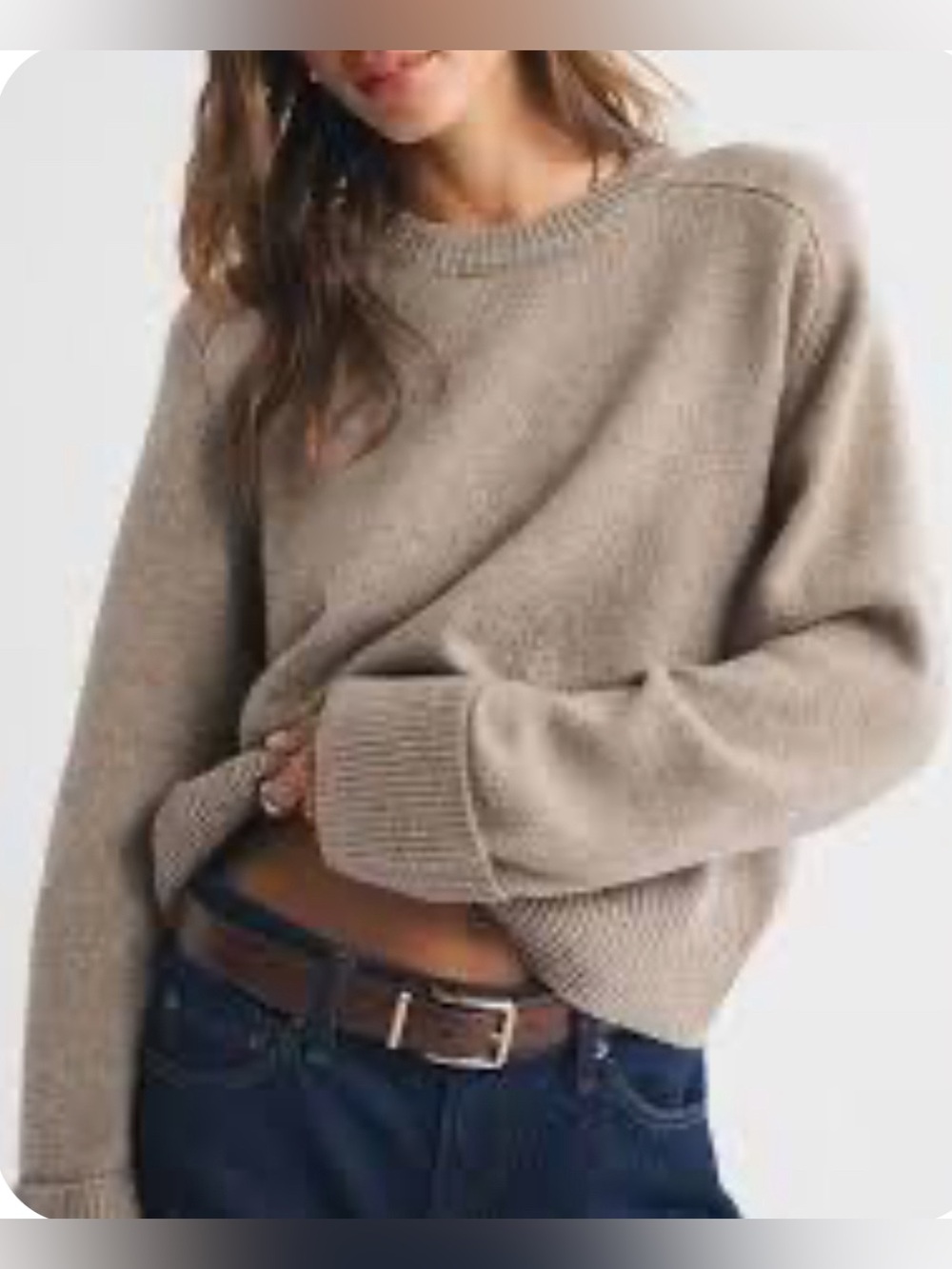Abercrombie & Fitch
The A&F Madeline Dog Crew Sweater small NWT